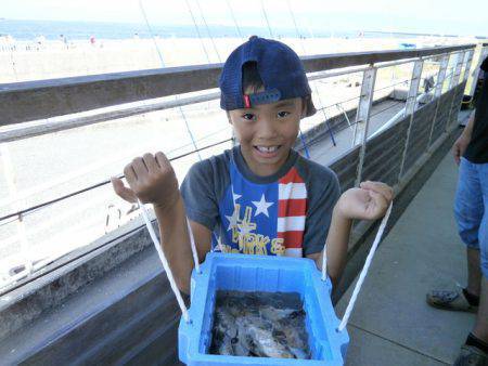 大阪南港海つり公園 釣果