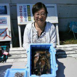 大阪南港海つり公園 釣果