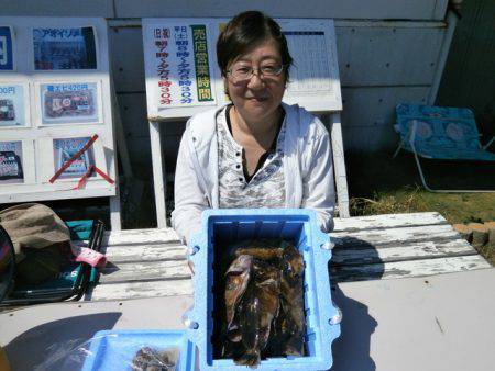 大阪南港海つり公園 釣果