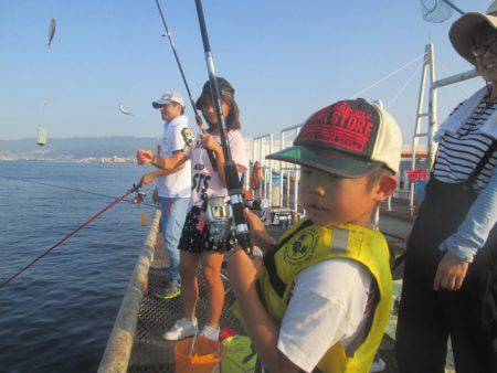 尼崎市立魚つり公園 釣果