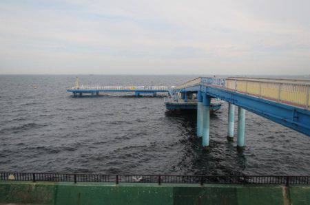 オリジナルメーカー海づり公園(市原市海づり施設) 釣果