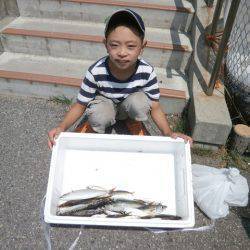 大阪南港海つり公園 釣果