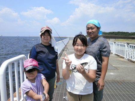 大阪南港海つり公園 釣果