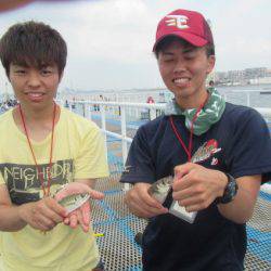オリジナルメーカー海づり公園(市原市海づり施設) 釣果