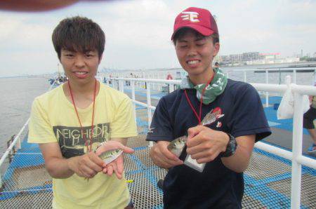 オリジナルメーカー海づり公園(市原市海づり施設) 釣果