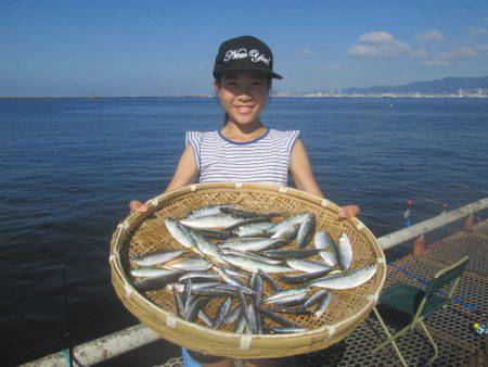 尼崎市立魚つり公園 釣果