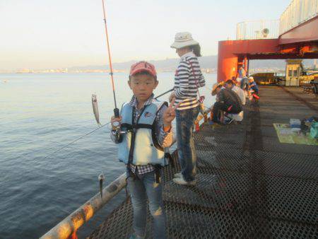 尼崎市立魚つり公園 釣果