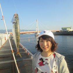 尼崎市立魚つり公園 釣果