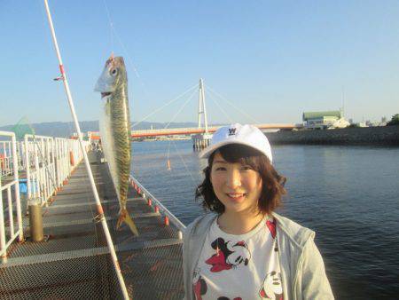 尼崎市立魚つり公園 釣果