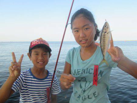 尼崎市立魚つり公園 釣果