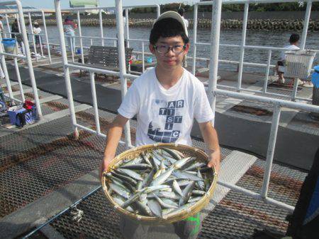 尼崎市立魚つり公園 釣果