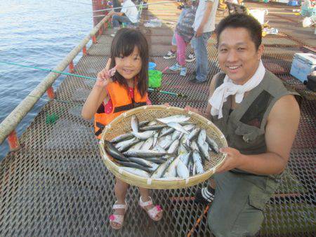 尼崎市立魚つり公園 釣果