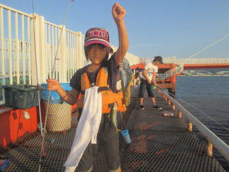 尼崎市立魚つり公園 釣果