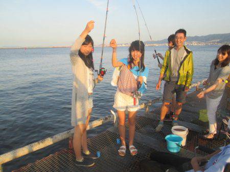 尼崎市立魚つり公園 釣果