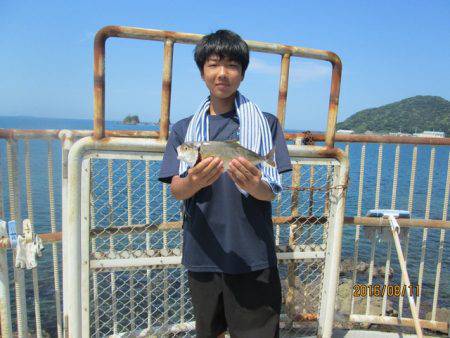 下関フィッシングパーク 釣果