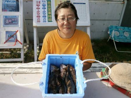 大阪南港海つり公園 釣果