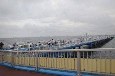 オリジナルメーカー海づり公園(市原市海づり施設) 釣果