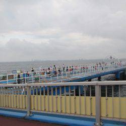 オリジナルメーカー海づり公園(市原市海づり施設) 釣果