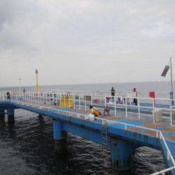 オリジナルメーカー海づり公園(市原市海づり施設) 釣果