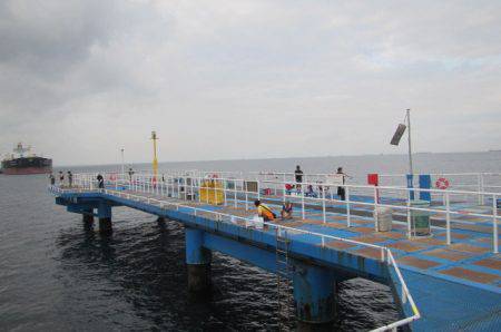 オリジナルメーカー海づり公園(市原市海づり施設) 釣果