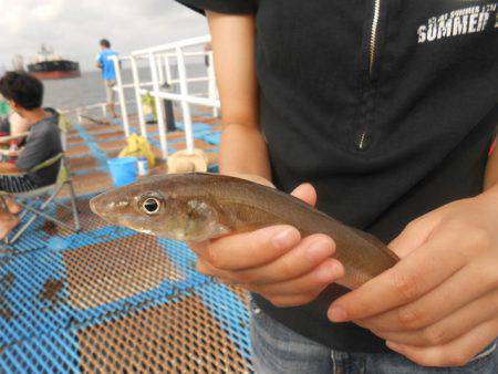 オリジナルメーカー海づり公園(市原市海づり…