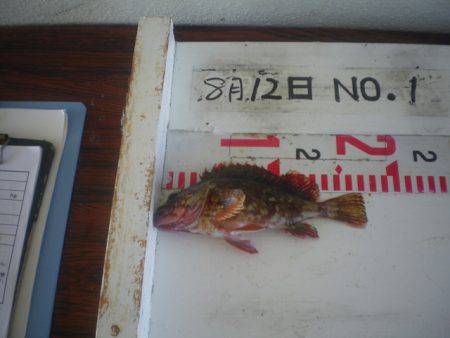 姫路市立遊魚センター 釣果