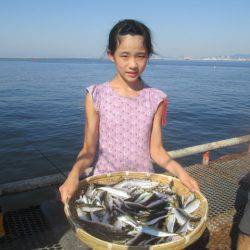 尼崎市立魚つり公園 釣果