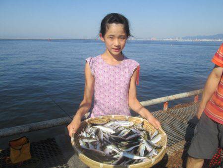 尼崎市立魚つり公園 釣果