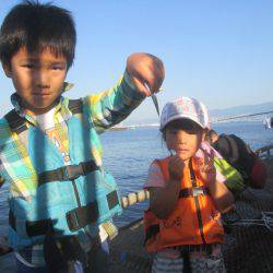 尼崎市立魚つり公園 釣果