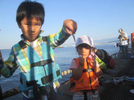 尼崎市立魚つり公園 釣果