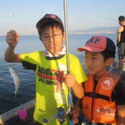 尼崎市立魚つり公園 釣果