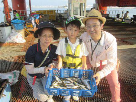 尼崎市立魚つり公園 釣果