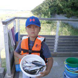 大阪南港海つり公園 釣果