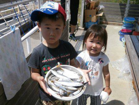大阪南港海つり公園 釣果