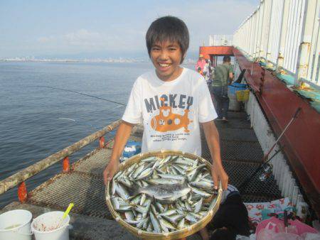 尼崎市立魚つり公園 釣果