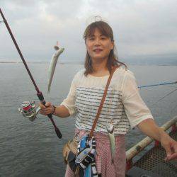 尼崎市立魚つり公園 釣果