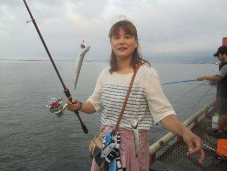 尼崎市立魚つり公園 釣果