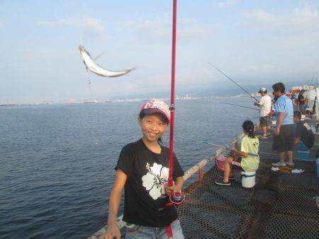 尼崎市立魚つり公園 釣果