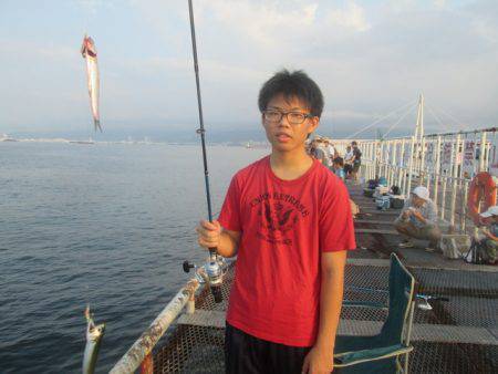 尼崎市立魚つり公園 釣果