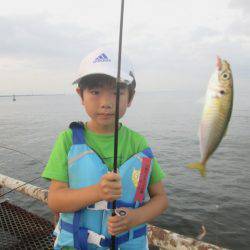 尼崎市立魚つり公園 釣果