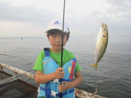 尼崎市立魚つり公園 釣果