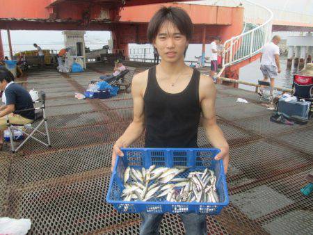 尼崎市立魚つり公園 釣果