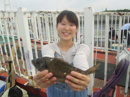 尼崎市立魚つり公園 釣果