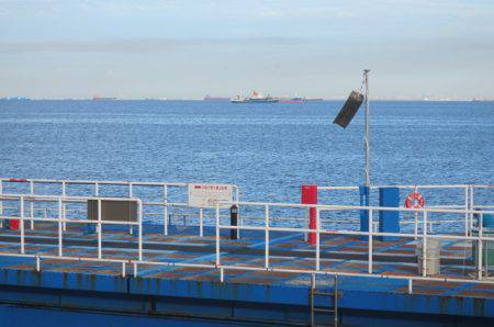 オリジナルメーカー海づり公園(市原市海づり施設) 釣果