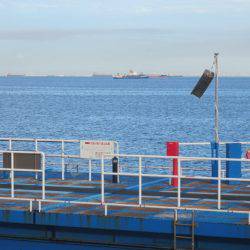 オリジナルメーカー海づり公園(市原市海づり施設) 釣果