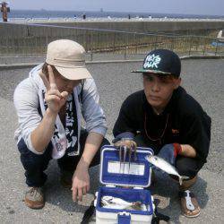 大阪南港海つり公園 釣果