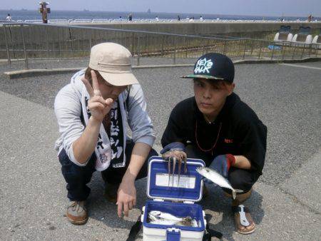 大阪南港海つり公園 釣果