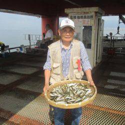 尼崎市立魚つり公園 釣果