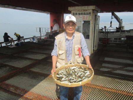 尼崎市立魚つり公園 釣果