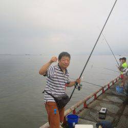 尼崎市立魚つり公園 釣果